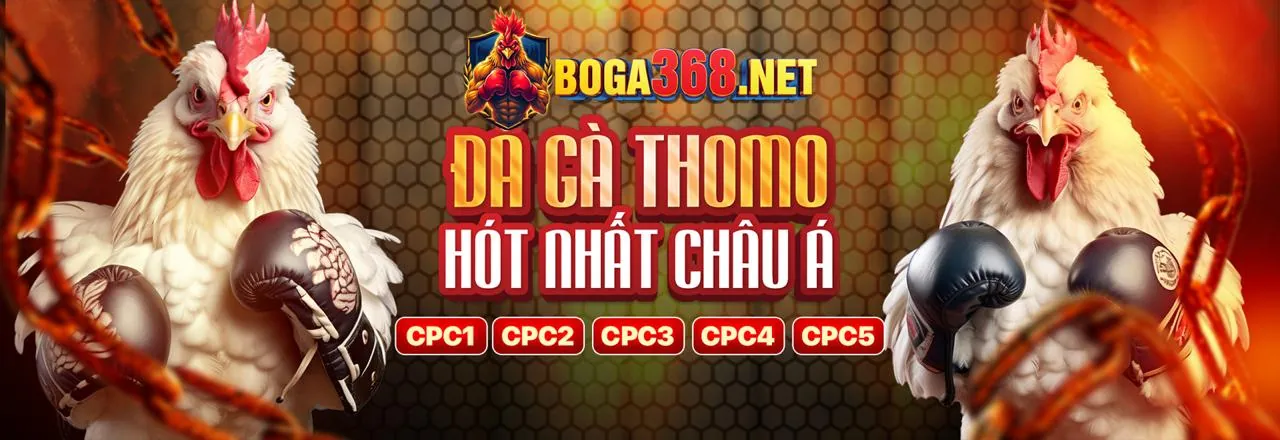 Tham Gia 88vv Chính Thức Ngay